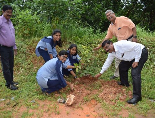 Vanamahotsva celebration at Sharada Vidhyaniketan PU College, Talapady